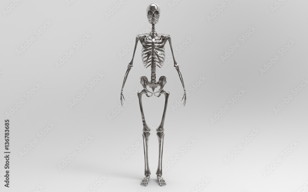3D Illustration Of A Human Skeleton 3D Illustration Of A Human Skeleton