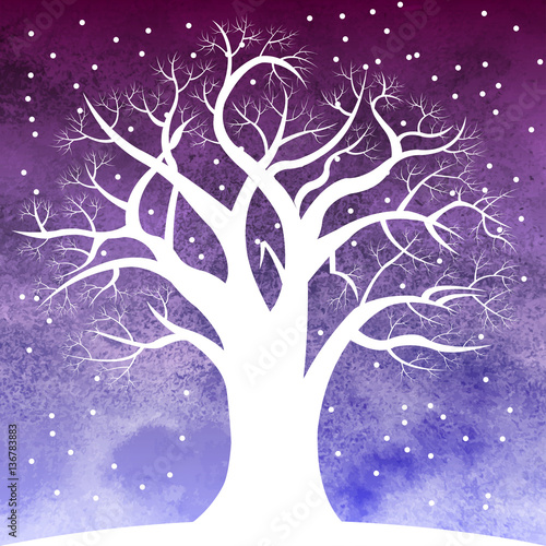 Tree in snow overnight