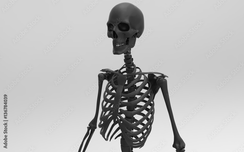 3D Illustration Of A Human Skeleton 3D Illustration Of A Human Skeleton