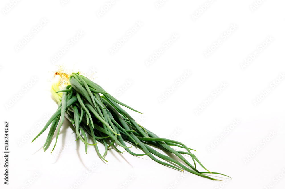 Fototapeta premium Spring Onion Isolated on White Background.