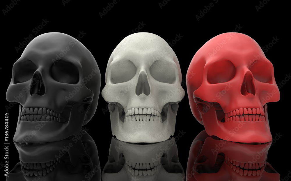 3D Illustration of A Human Skull 3D Illustration of A Human Skull