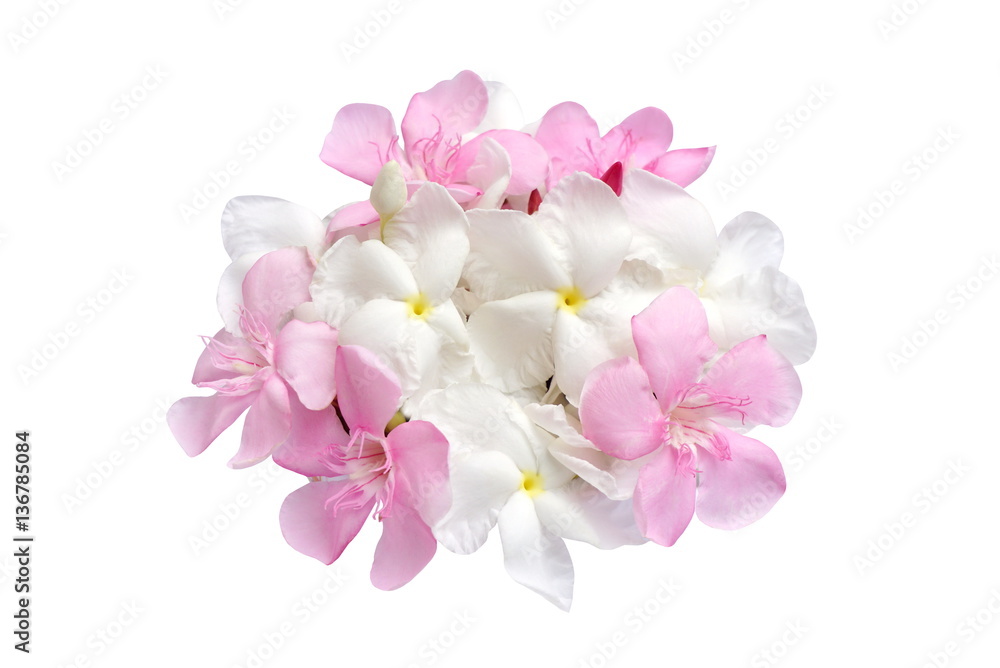 pink and white flower bouquet isolated on white background 