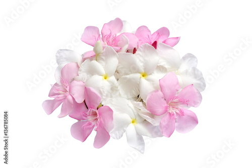 pink and white flower bouquet isolated on white background 