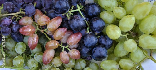 Composition of ripe grapes of different varieties and colors photo