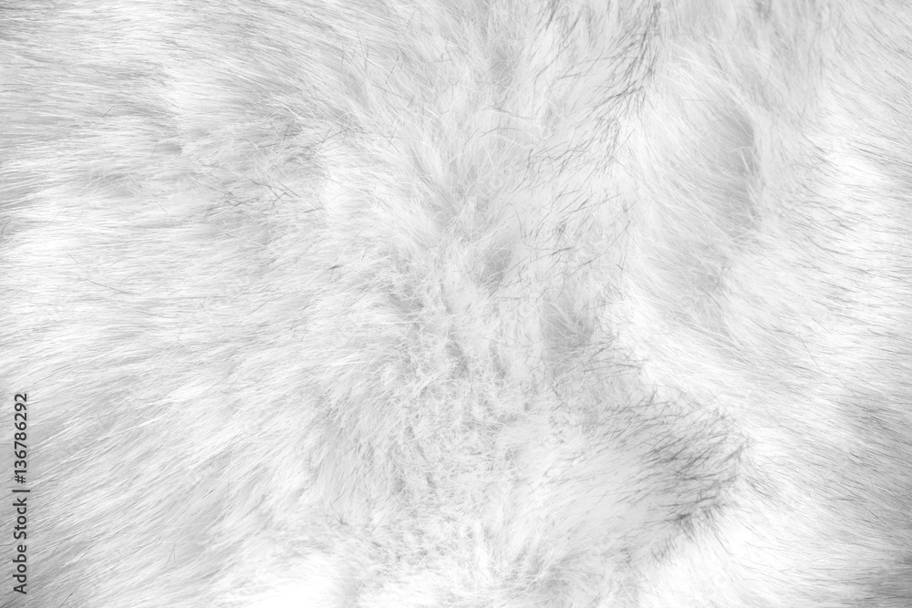white artificial fur texture - obrazy, fototapety, plakaty 