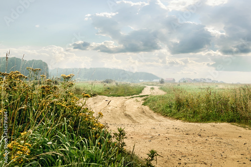 Rural road leading off into the distance to houses