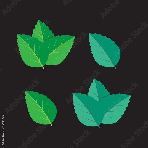 Mint green vector illustration set. Mint green vector