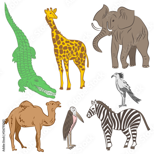 Colorful Hand Drawn African Animals and Birds. Doodle Drawings of Elephant  Zebra  Giraffe  Camel  Marabou and Secretary-bird. Flat Style. Vector Illustration.