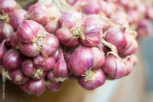 group of red onions