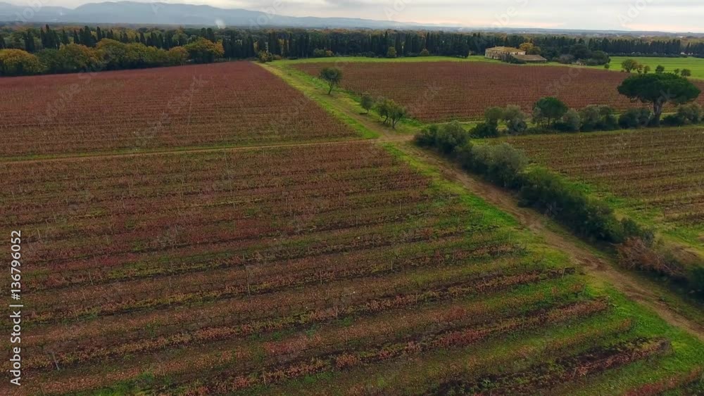 Aerial shot, huge vineyards with the autumn colors after the grape harvest in Tuscany, Italy, shot with drone Aerial shot, huge vineyards with the autumn colors after the grape harvest in Tuscany, Italy, shot with drone