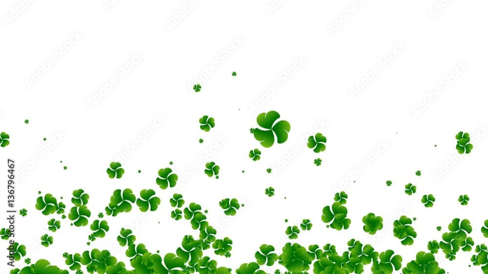 St. Patrick's Day, Clover falling down, seamless looped on a white background St. Patrick's Day, Clover falling down, seamless looped on a white background