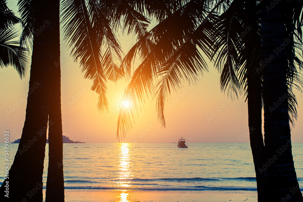 Beautiful sunset on a tropical beach through palm leaves.