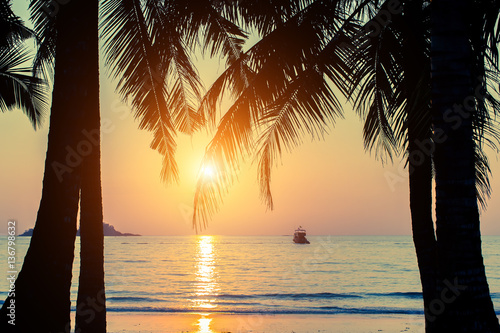 Beautiful sunset on a tropical beach through palm leaves.