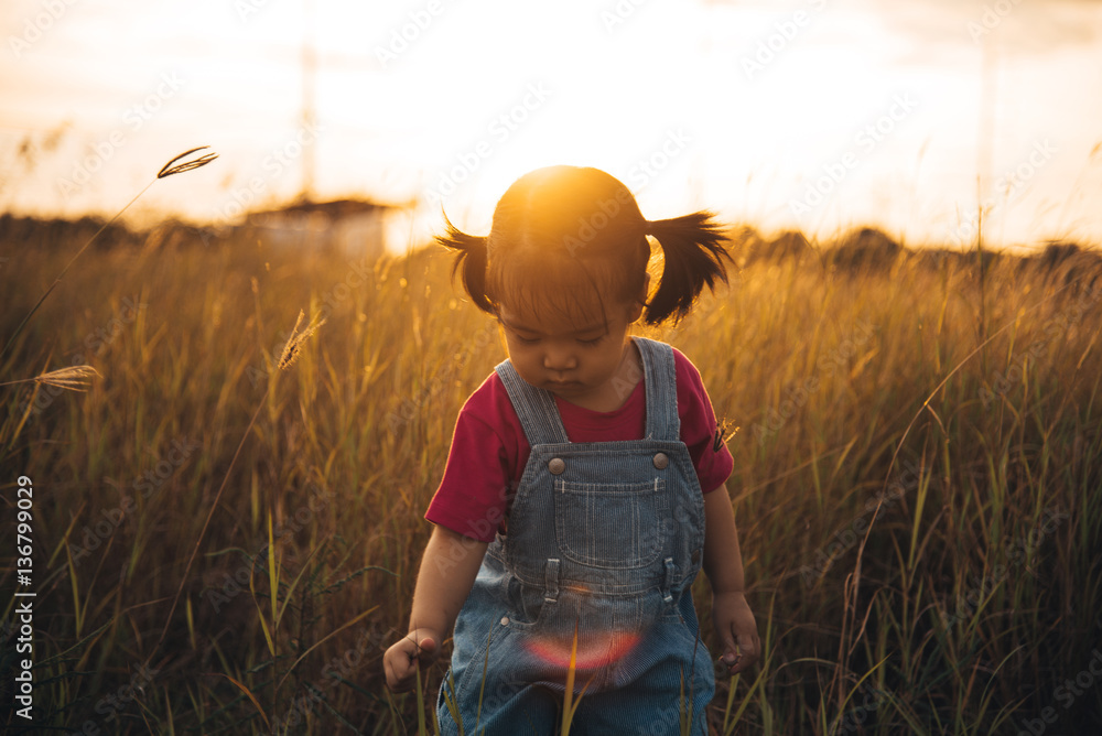 girl playing in the meadow girl playing in the meadow