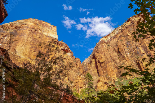 colorful landscape from zion national park utah © larisa_stock