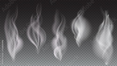 White smoke waves on transparent background vector illustration