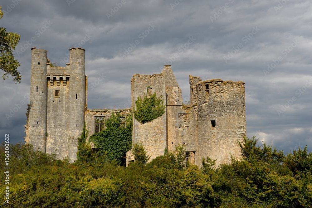 Château de Passy les tours