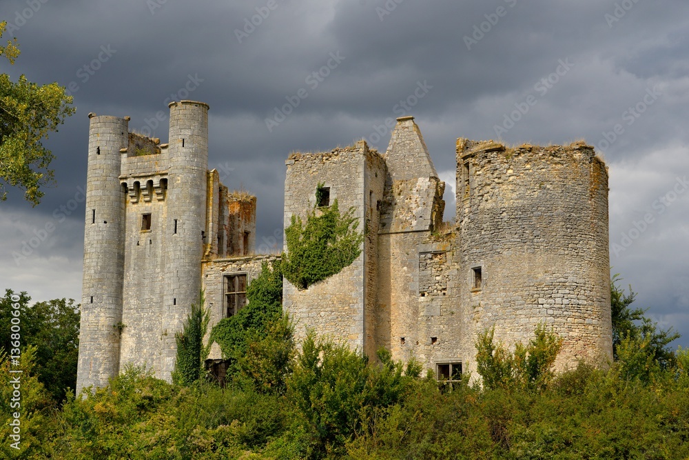 Château de Passy les tours