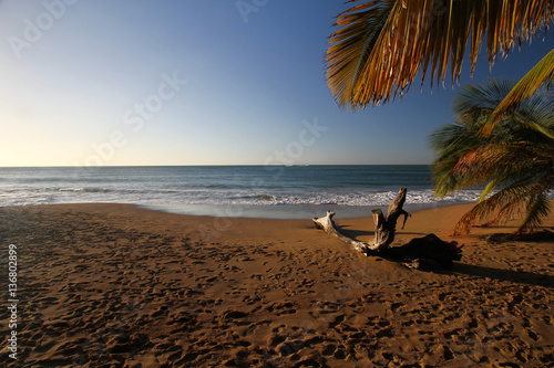 coucher de soleil sur la plage de deshaies en Guadeloupe © skeupon
