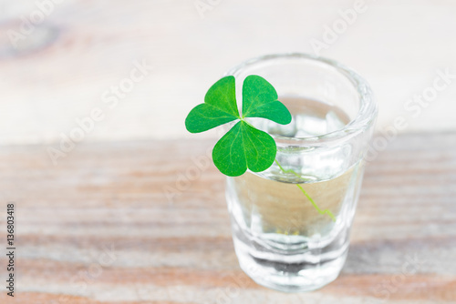 Three leaf shamrock in glass on wooden table
