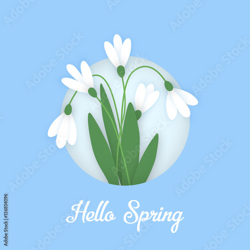 Spring Banner with colored paper flowers in circle and inscription. Flowers white snowdrops with leaves growing out of the snow against the sky. Vector illustration