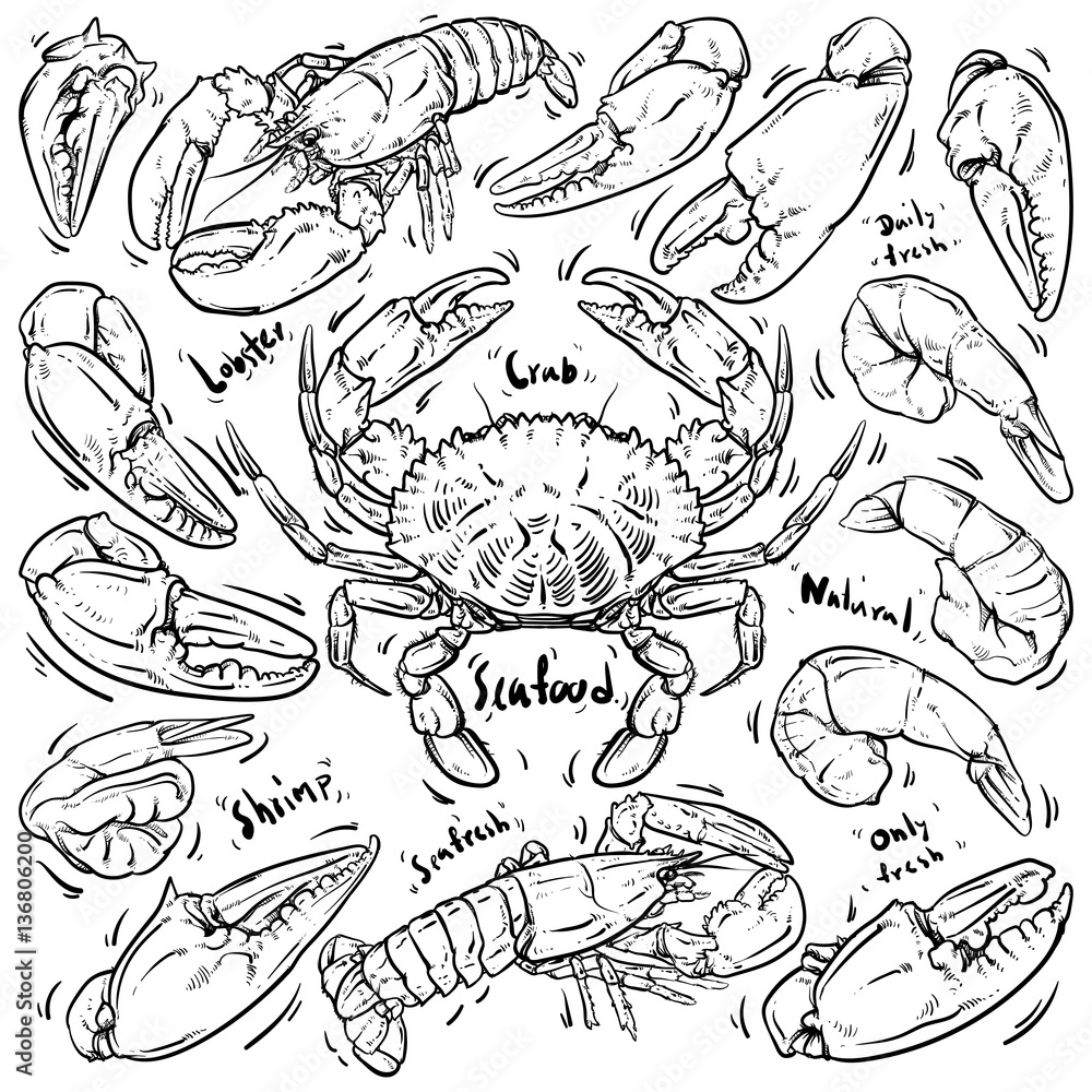 Seafood hand draw on white background. Crab & Lobster doodle vec