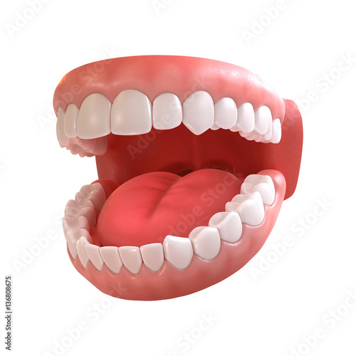 Quadro su tela 3d rendering of human teeth, open mouth on white background