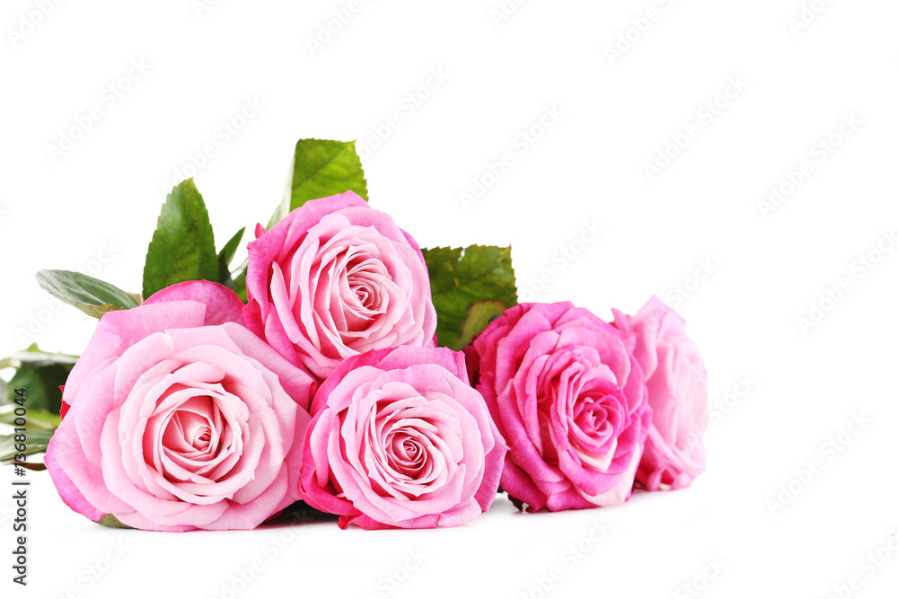 Bouquet of pink roses isolated on a white