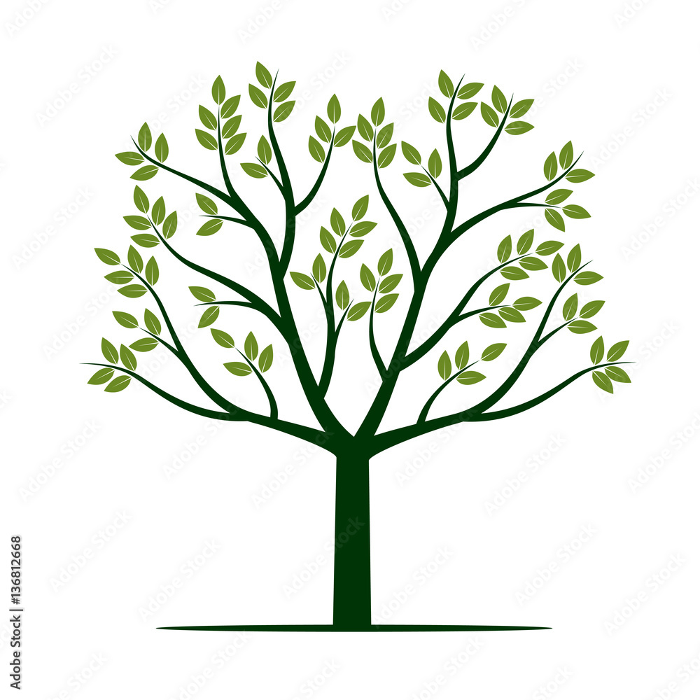 Green Tree with Leafs. Vector Illustration. Green Tree with Leafs. Vector Illustration.