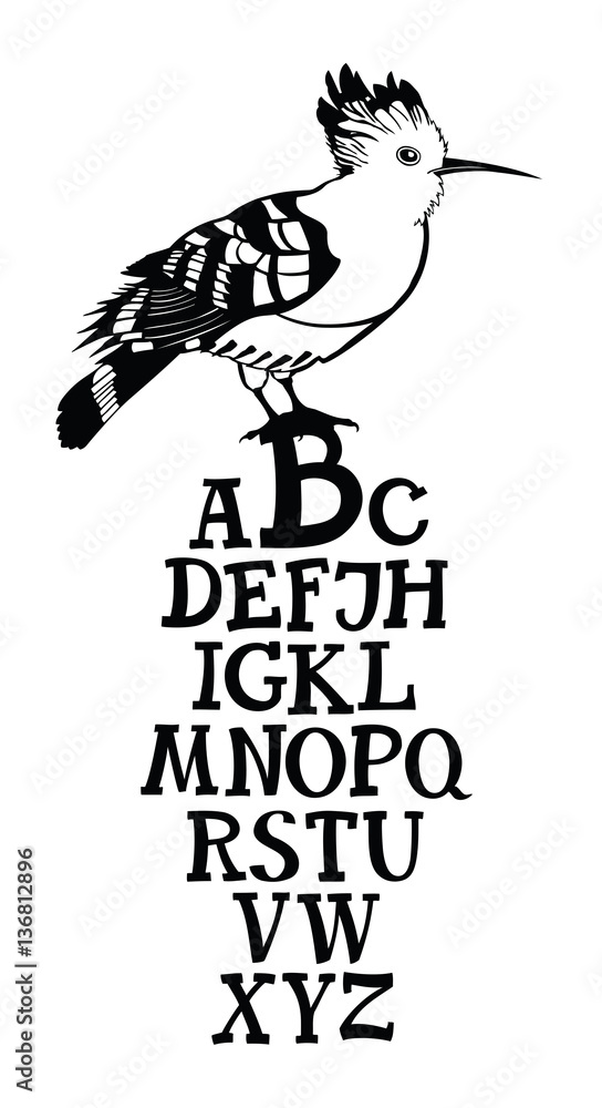Fototapeta premium Birds collection Poster Alphabet with Hoopoe bird