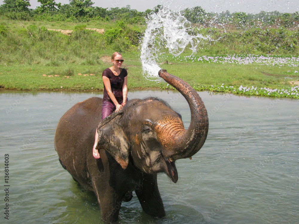 Tourist badet mit Elefant im Chitwan National Park Nepal