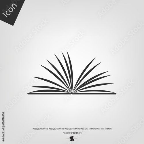 Open book icon