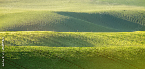 Abstract pattern texture of rolling wavy fields in spring. Sprin