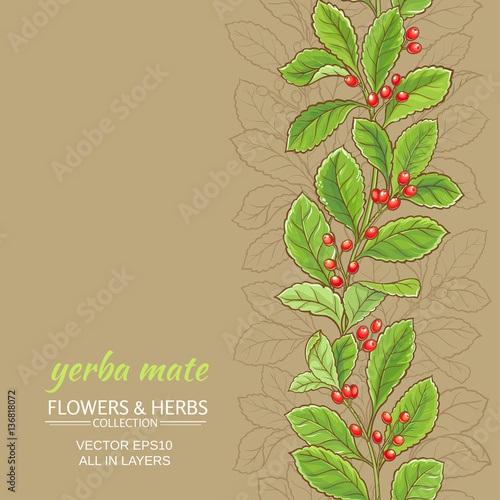yerba mate  background
