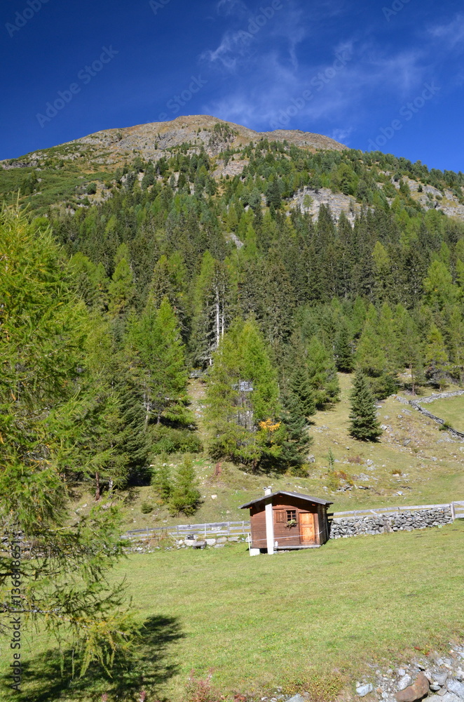 Alpine panorama, Niederthai, Ötztal in Tirol, Austria