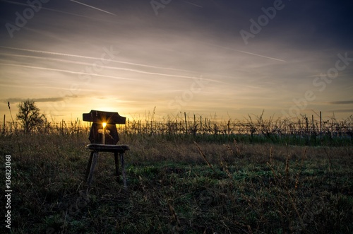 Chair in the Vineyard