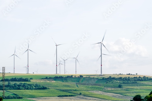 Vineyard Windmills
