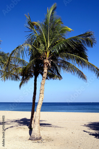 Sandstrand in Khor Fakkan  Fujairah  Vereinigte Arabische Emirate  Arabische Halbinsel  Naher Osten