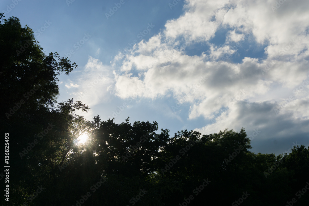 Blue cloudy sky Blue cloudy sky