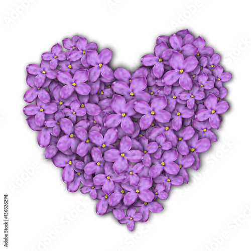 Heart of lilac flowers. Postcard to the Valentine's day.Purple flowers.