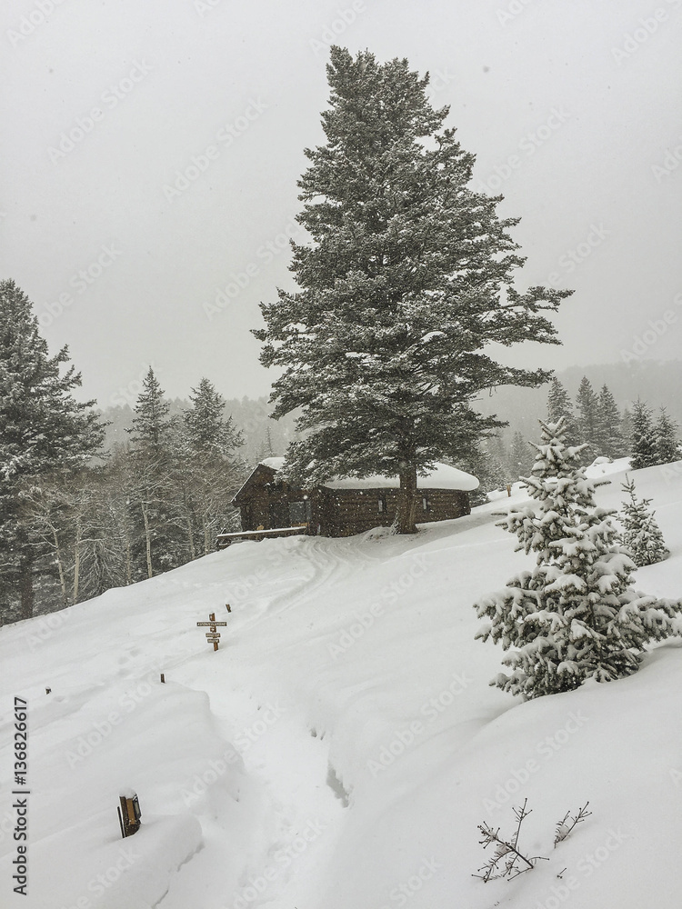 Fototapeta premium Winter Cabin in the Woods