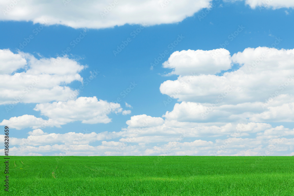 Green grass field and blue sky with clouds Green grass field and blue sky with clouds