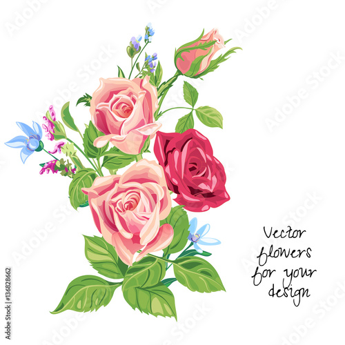 Bouquet of roses, pink, red, blue flowers and bud, green leaves on white background, digital draw, decorative illustration, vector