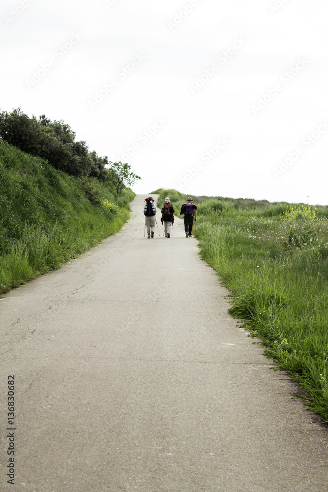 Hikers on forest Hikers on forest