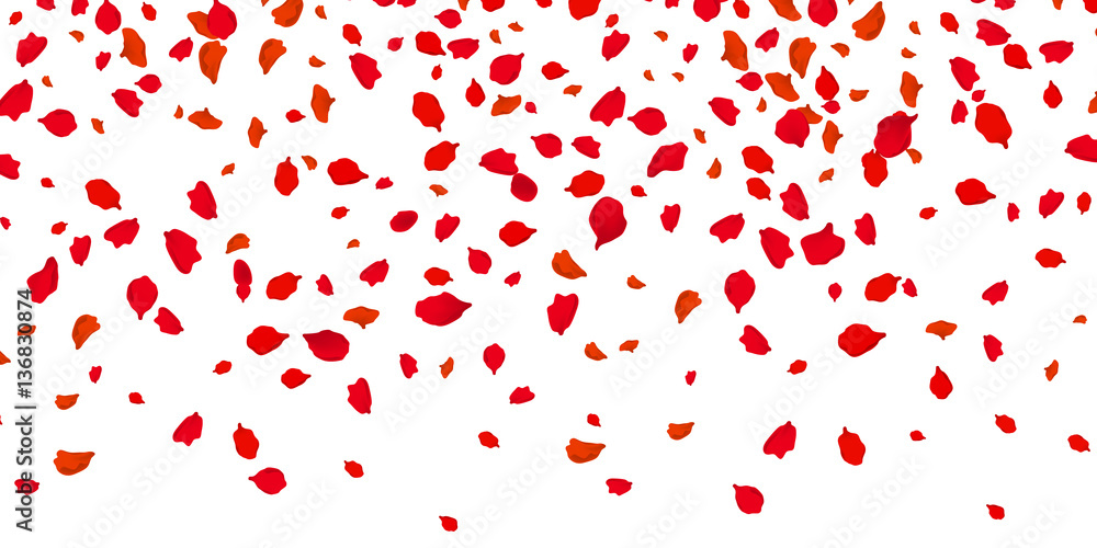 Flowers petals falling on vector transparent background