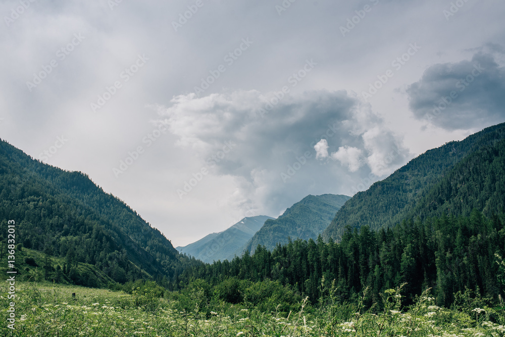 Siberia mountain green landscape