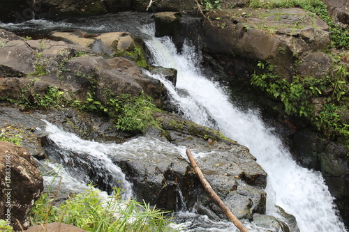 nature in kauai, Hawaii