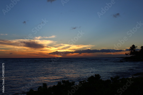 nature in kauai, Hawaii
