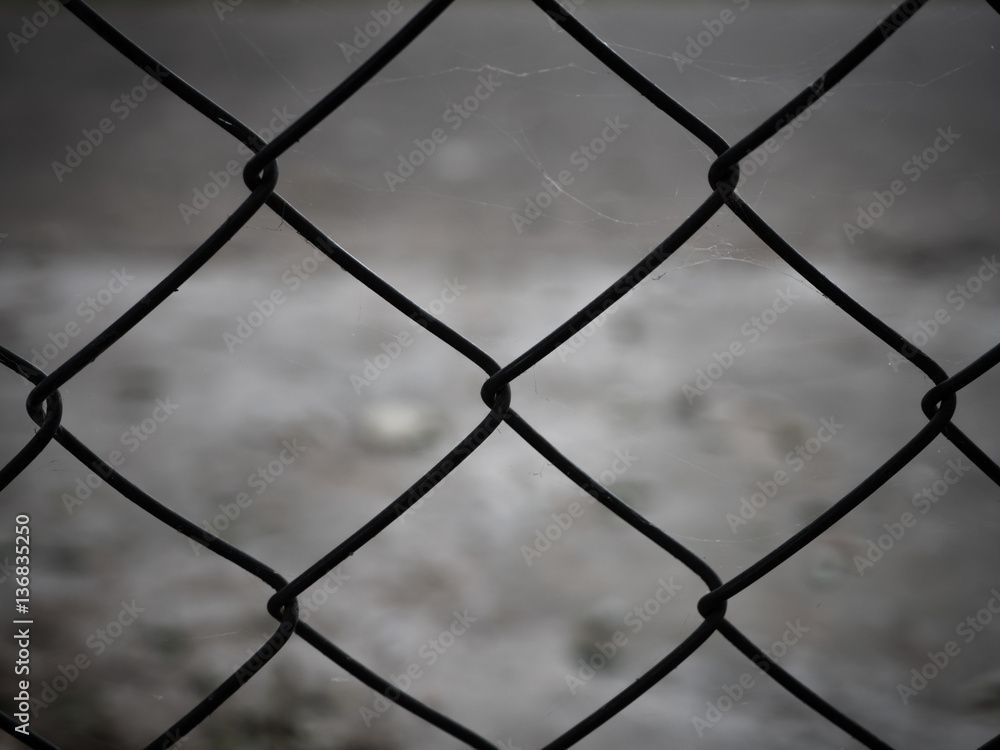 Rusty steel wire mesh fence. Rusty steel wire mesh fence.