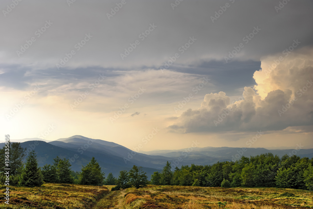 Obraz premium Mountain landscape with blueberry fields in the evening.